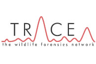 Trace Network
